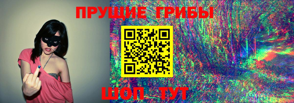 Галлюциногенные грибы Psilocybine cubensis Новозыбков