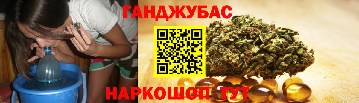 Канабис гибрид Новозыбков
